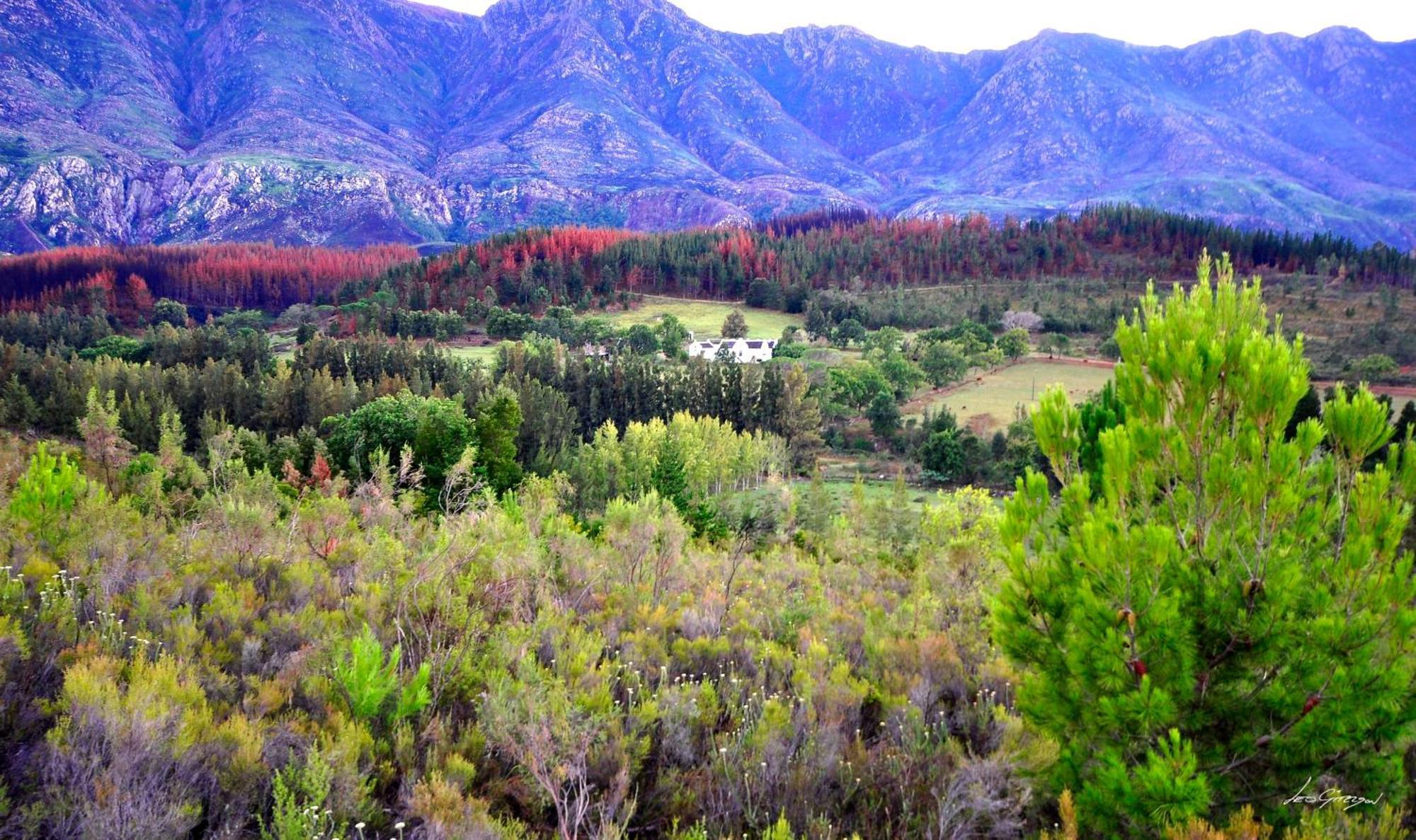 A Hilltop Country Retreat Swellendam Bagian luar foto