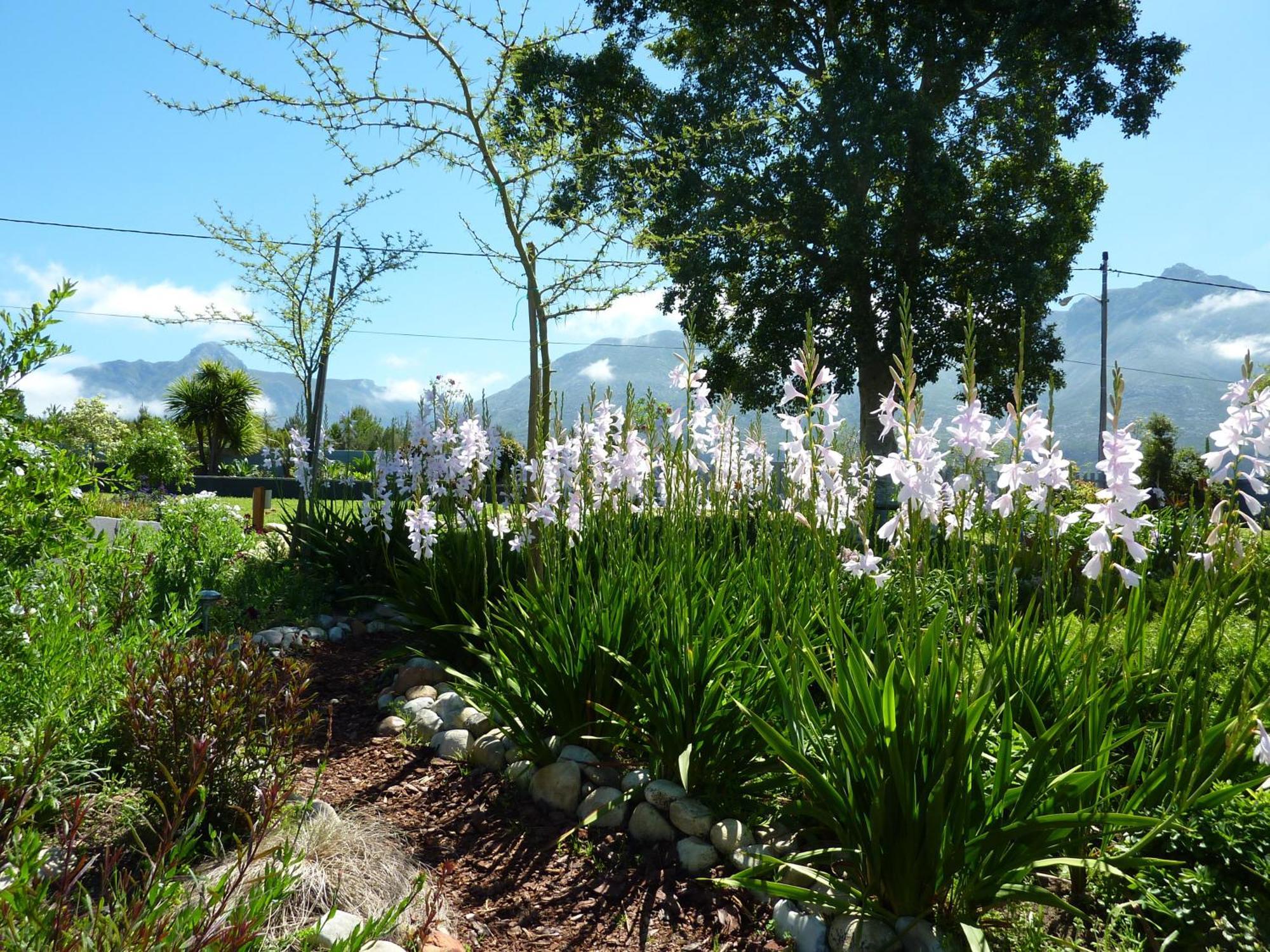 A Hilltop Country Retreat Swellendam Bagian luar foto